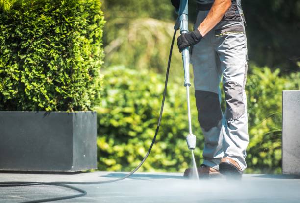 Best House Exterior Washing  in Poplarville, MS