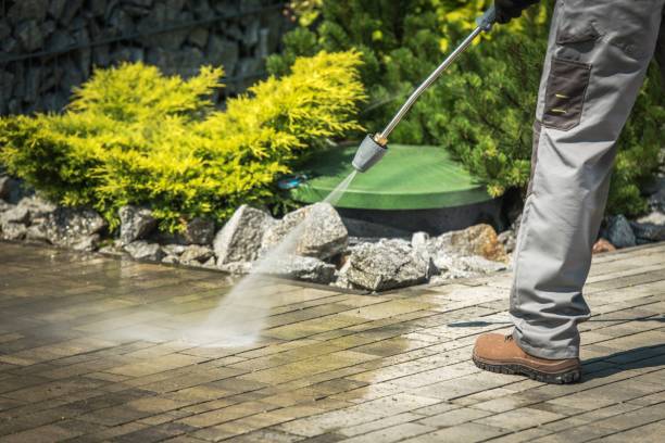 Best Warehouse Cleaning  in Poplarville, MS